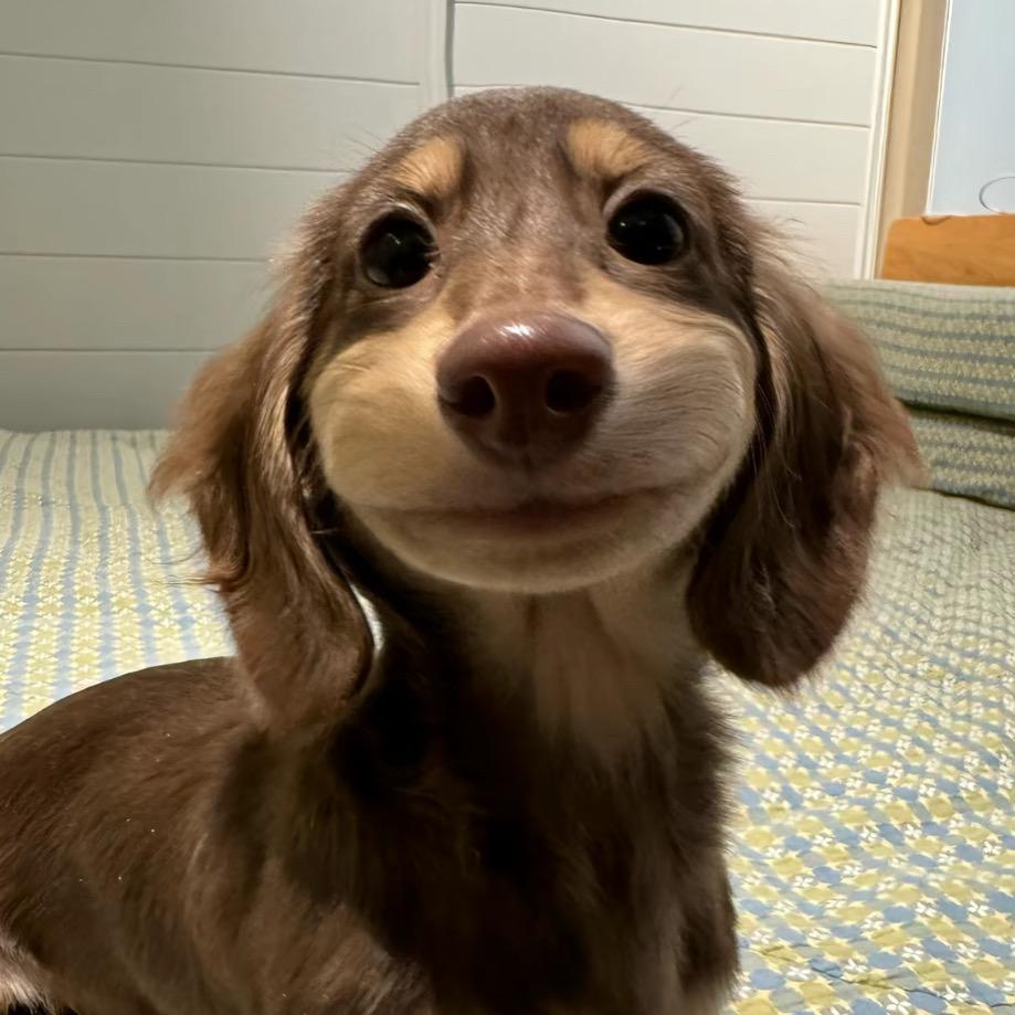 苹果嘉rrr
