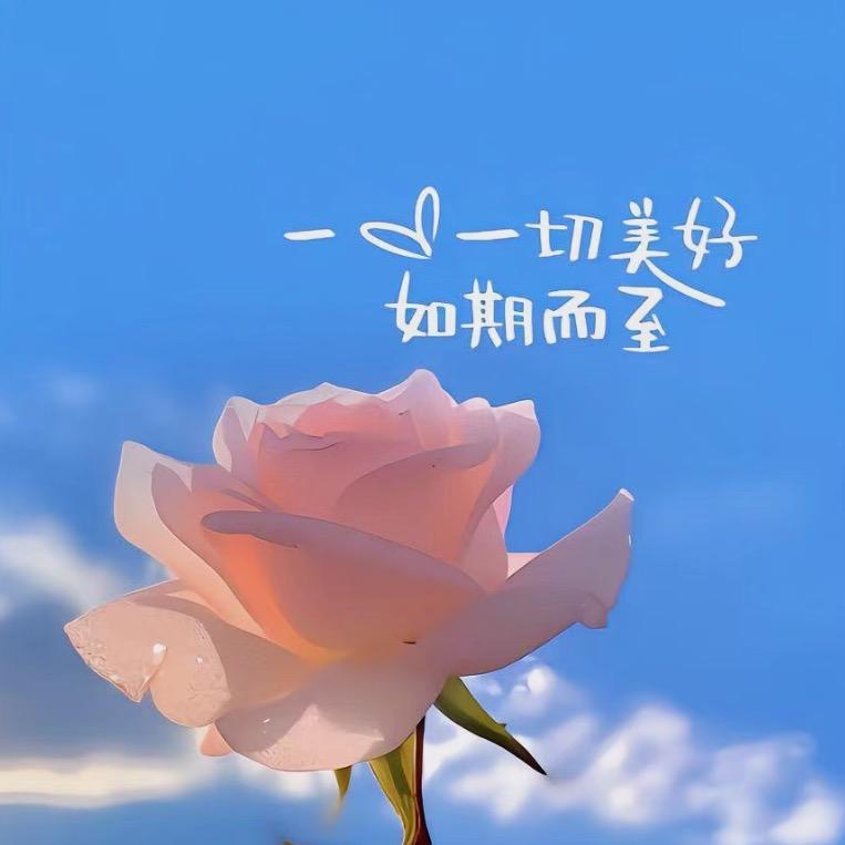 💖💸爱财悦己🍊