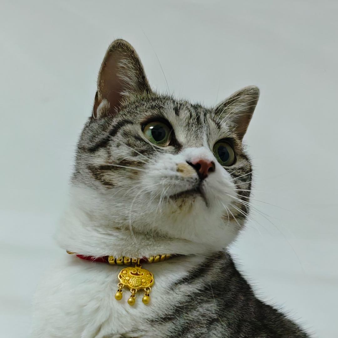 是颗糖葫芦（发财版）