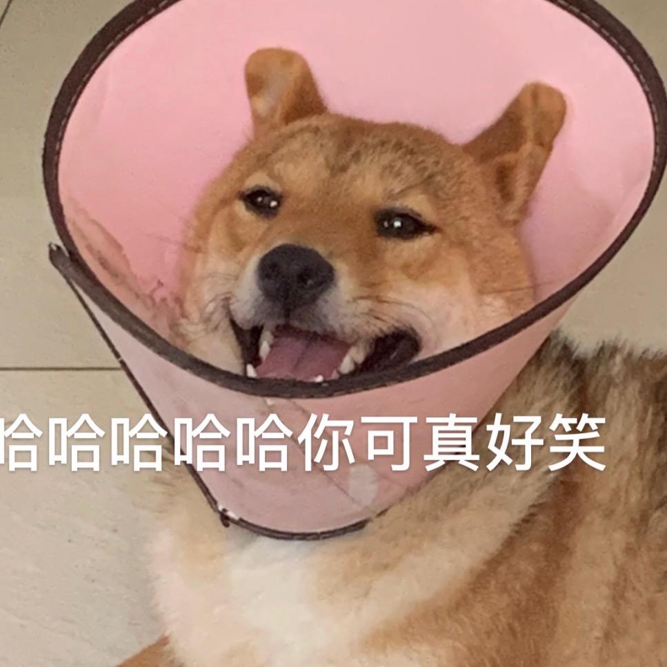 CHENG。
