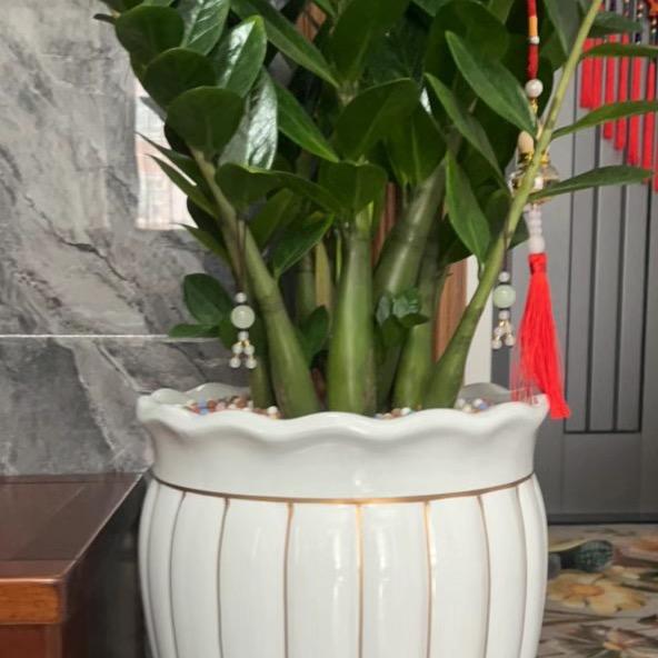 博博花盆园艺个体店