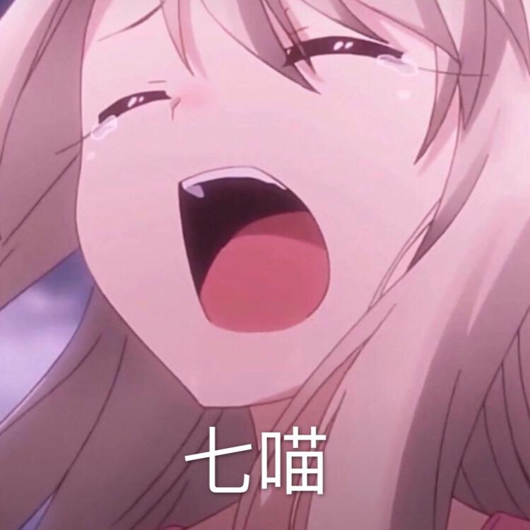 七喵🇵🇸@抖音