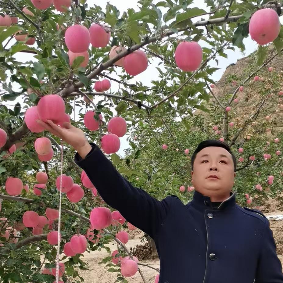 果园指南针