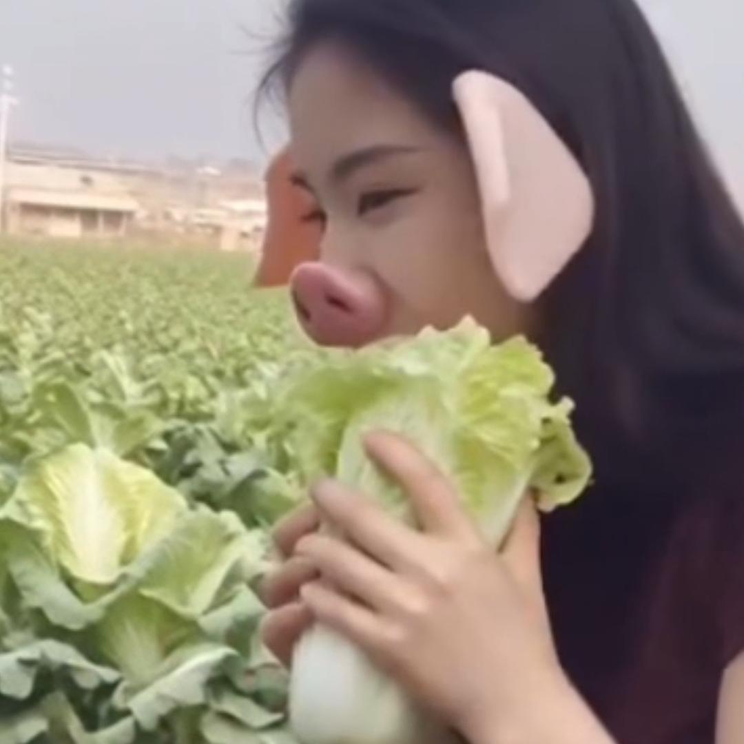 大猪🐷