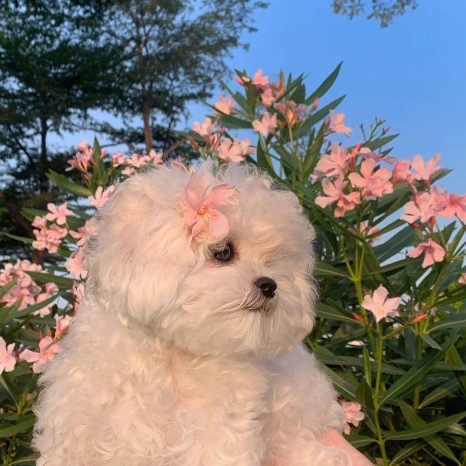 懒洋洋呀