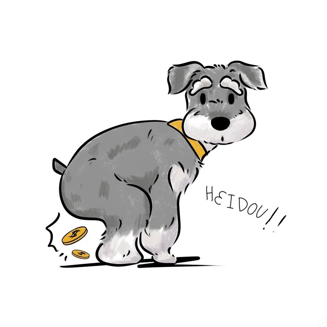 豆豆D.D.DOG宠物工作室