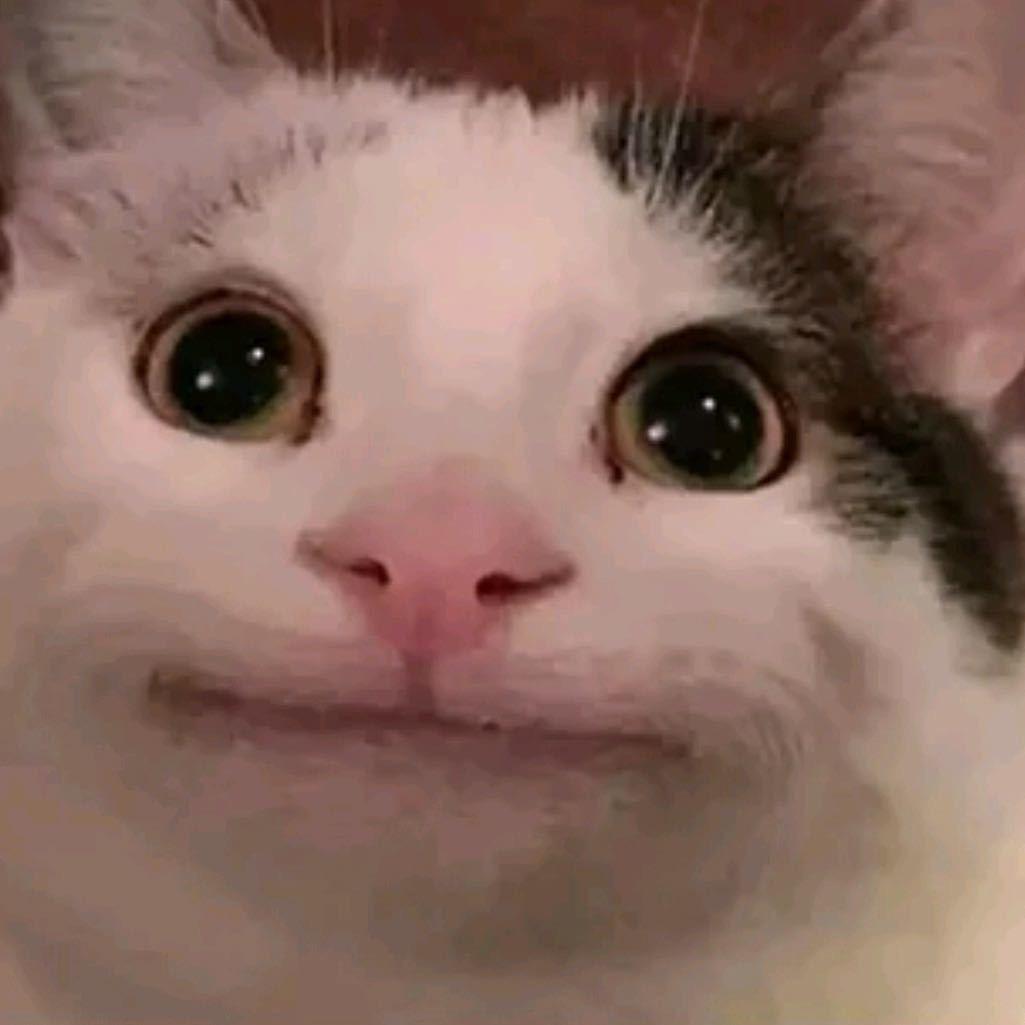 👌