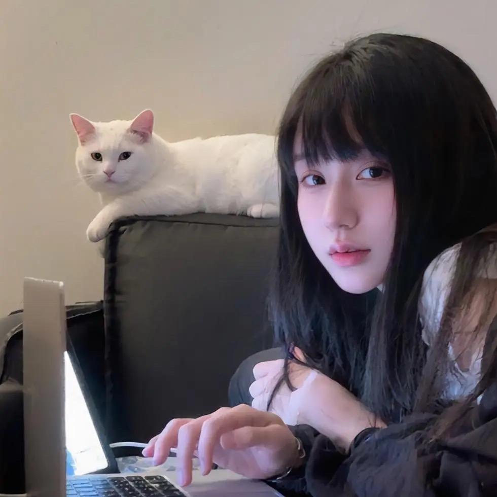 网上邻居