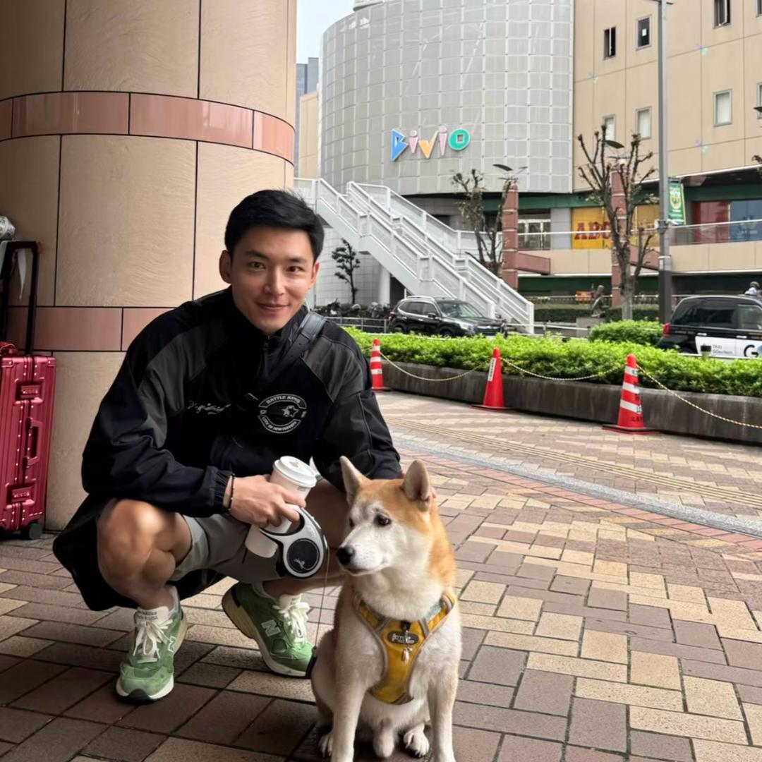 椰子树