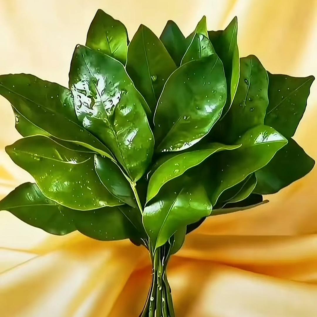 财神爷的独生女