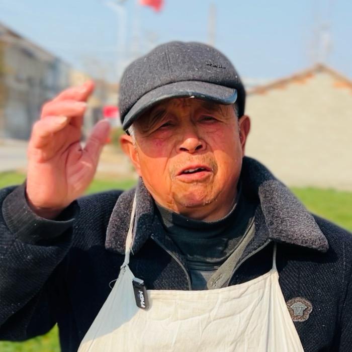 油茶马大爷