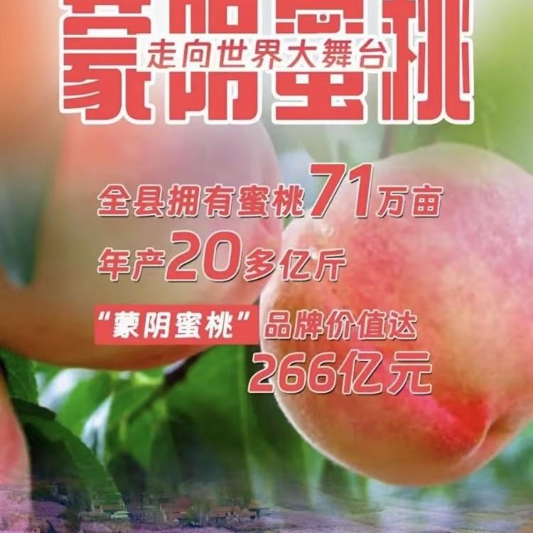 橙心橙意生活好物严选