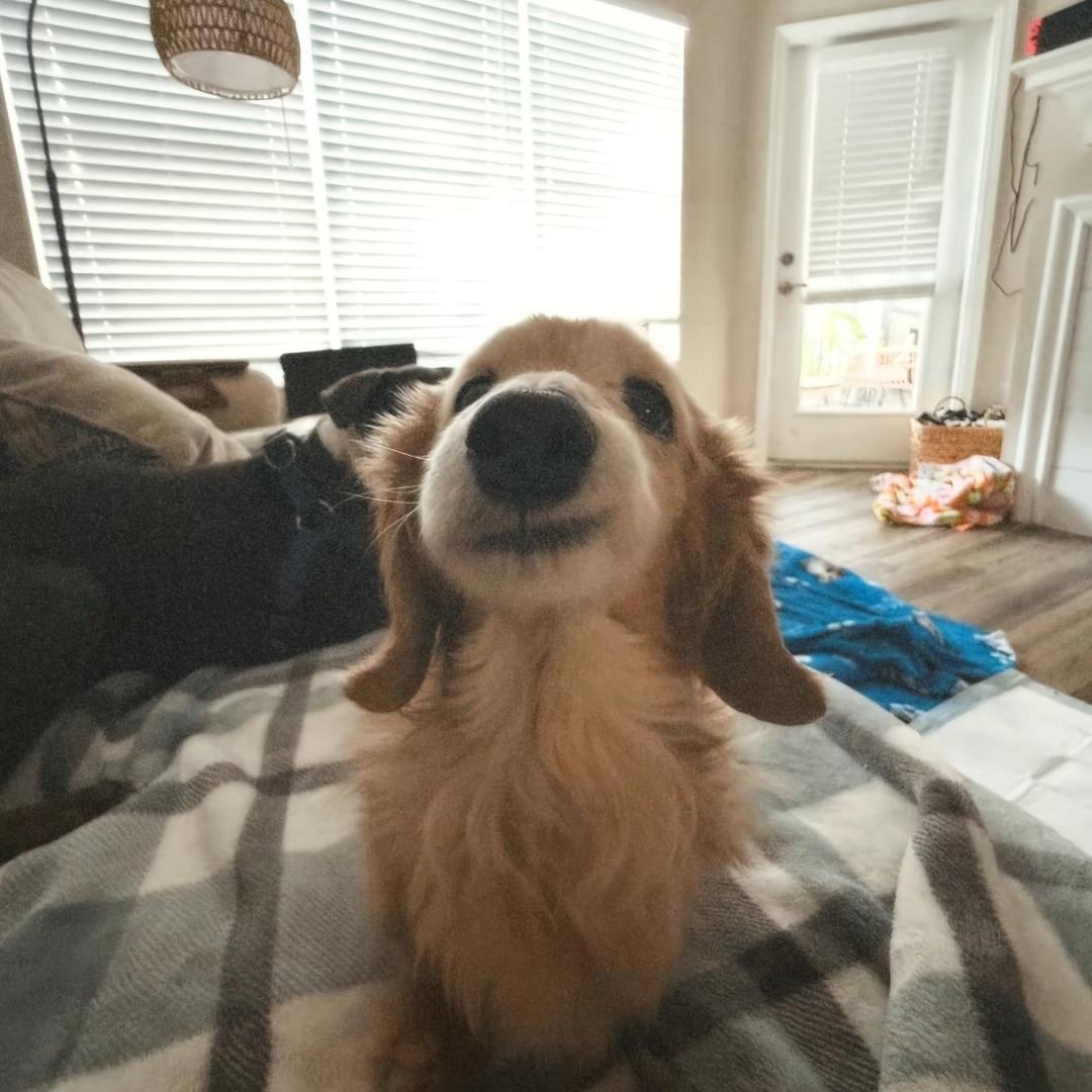 天天Rrrr.