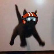 小猫托车