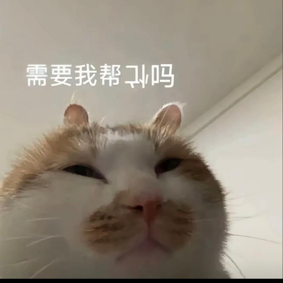 噗噗鸽（三角洲行动）
