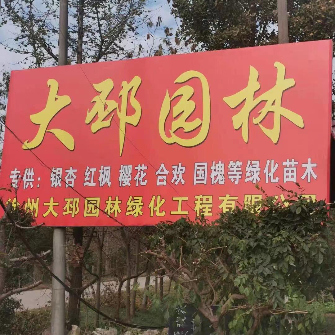 徐州大邳园林绿化工程有限公司💰