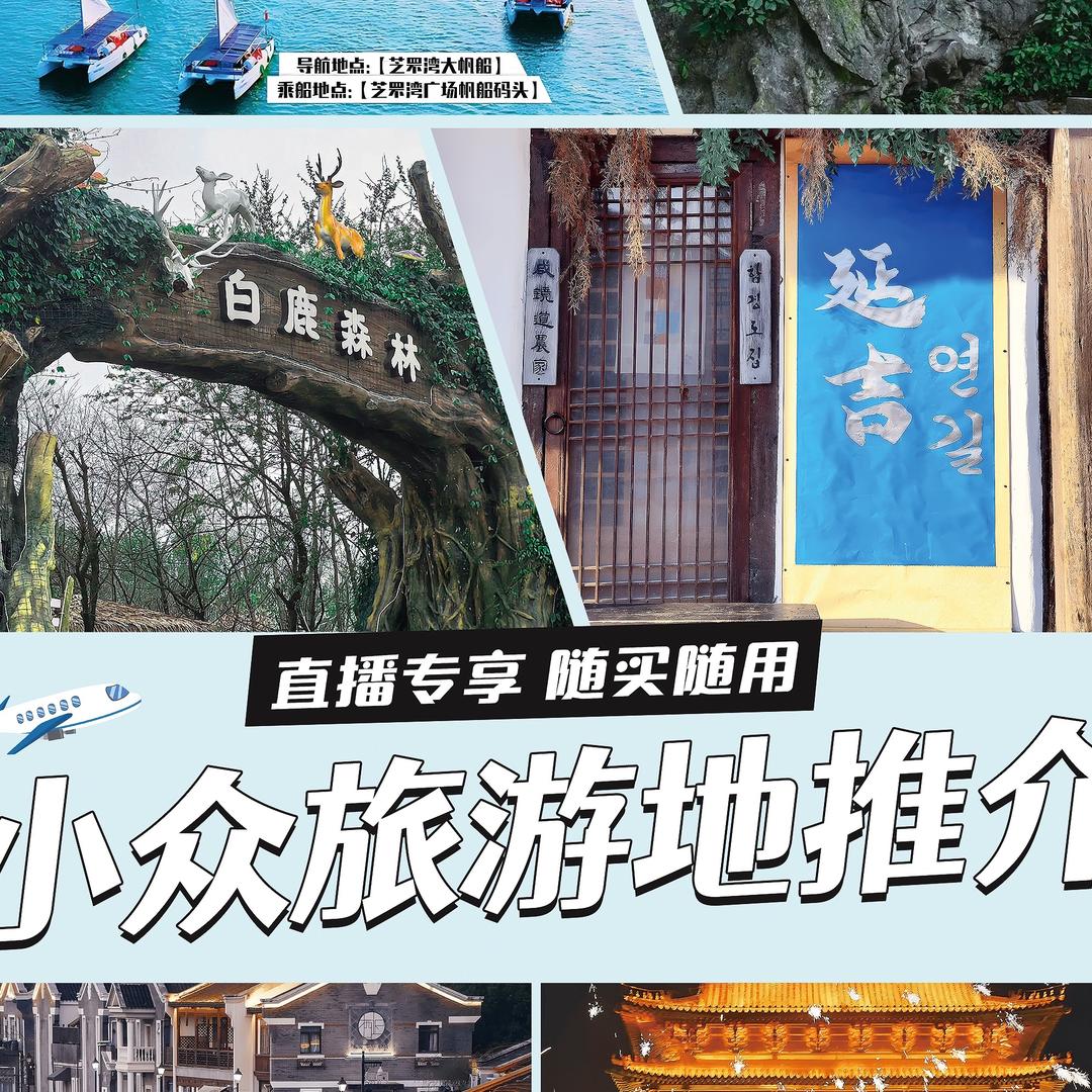 康康领