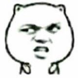璇青优选