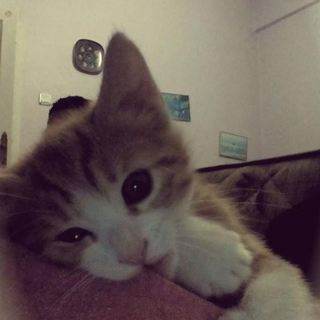 难眠.