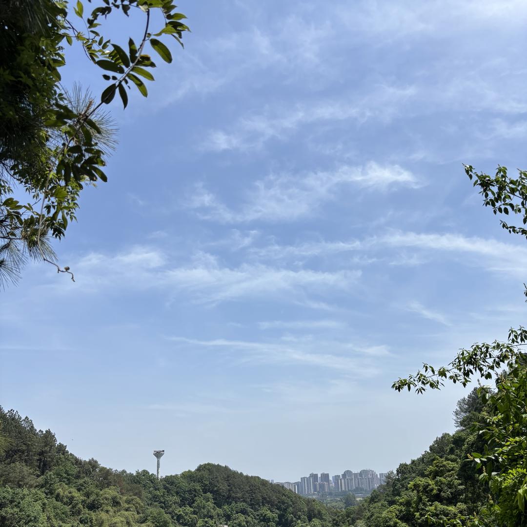 ASSORA合集店女鞋