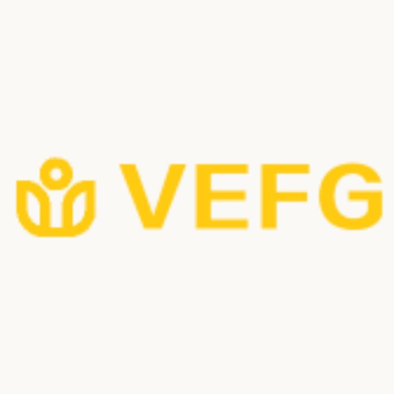 VEFG时尚女装店