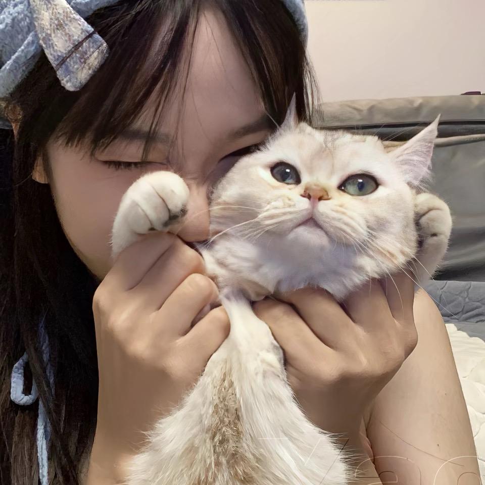 每天都好无语”
