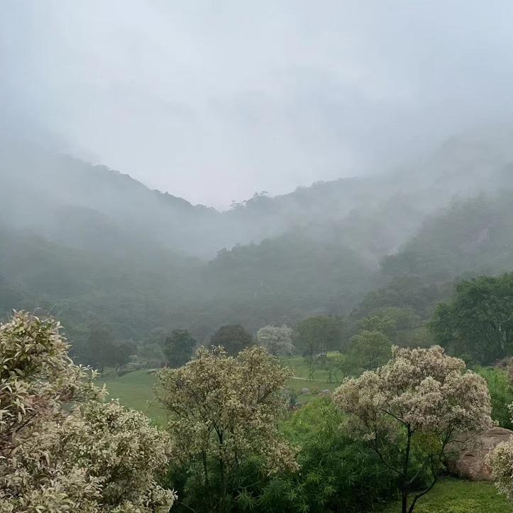 金山哥