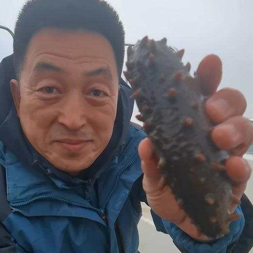 大姐夫的国标海参（源头直发）