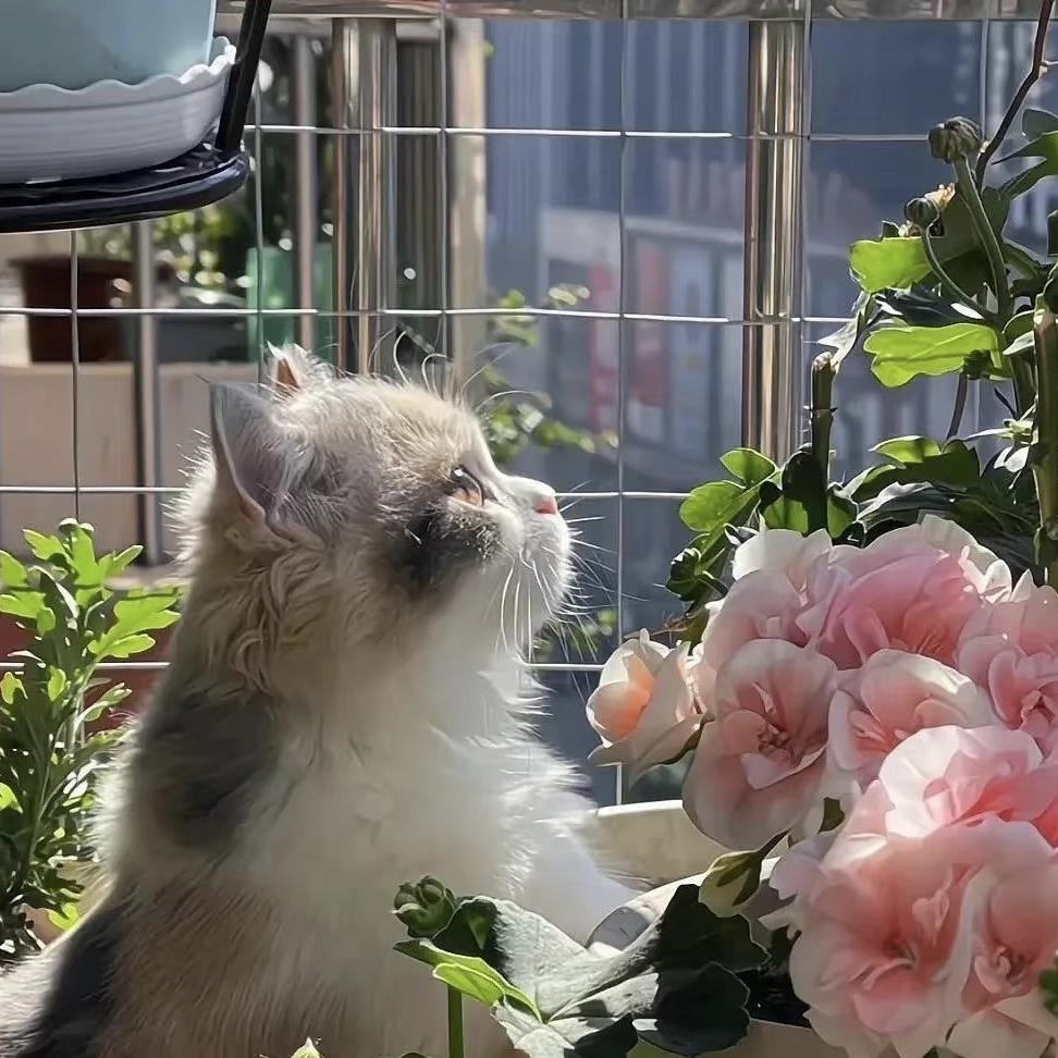 一条鱼中古首饰