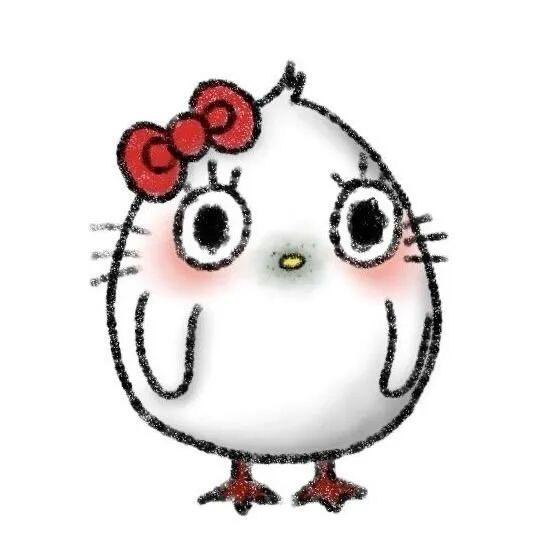 社恐小美
