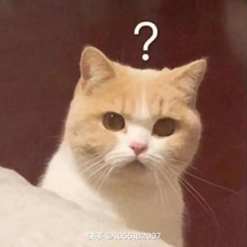 -02的小鱼