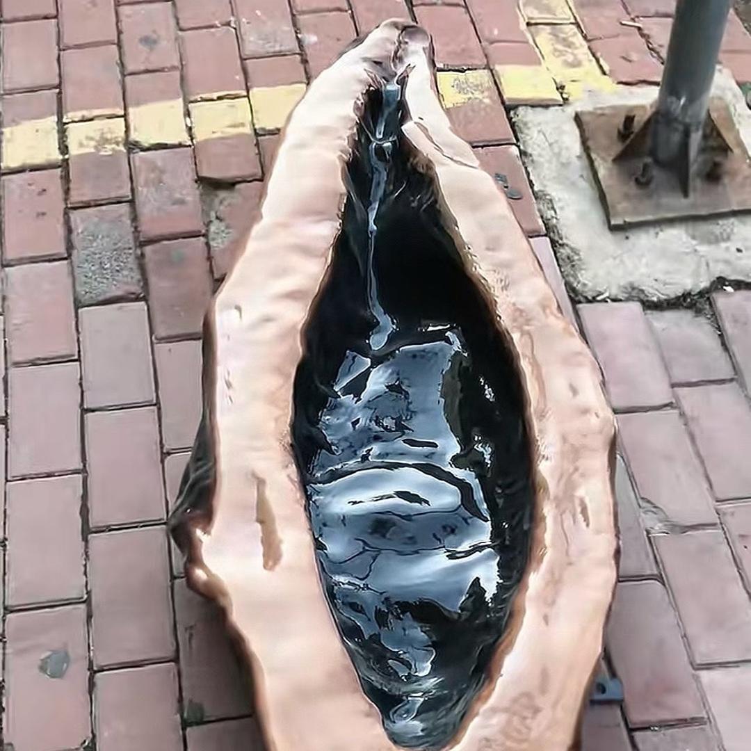 丹顶鹤