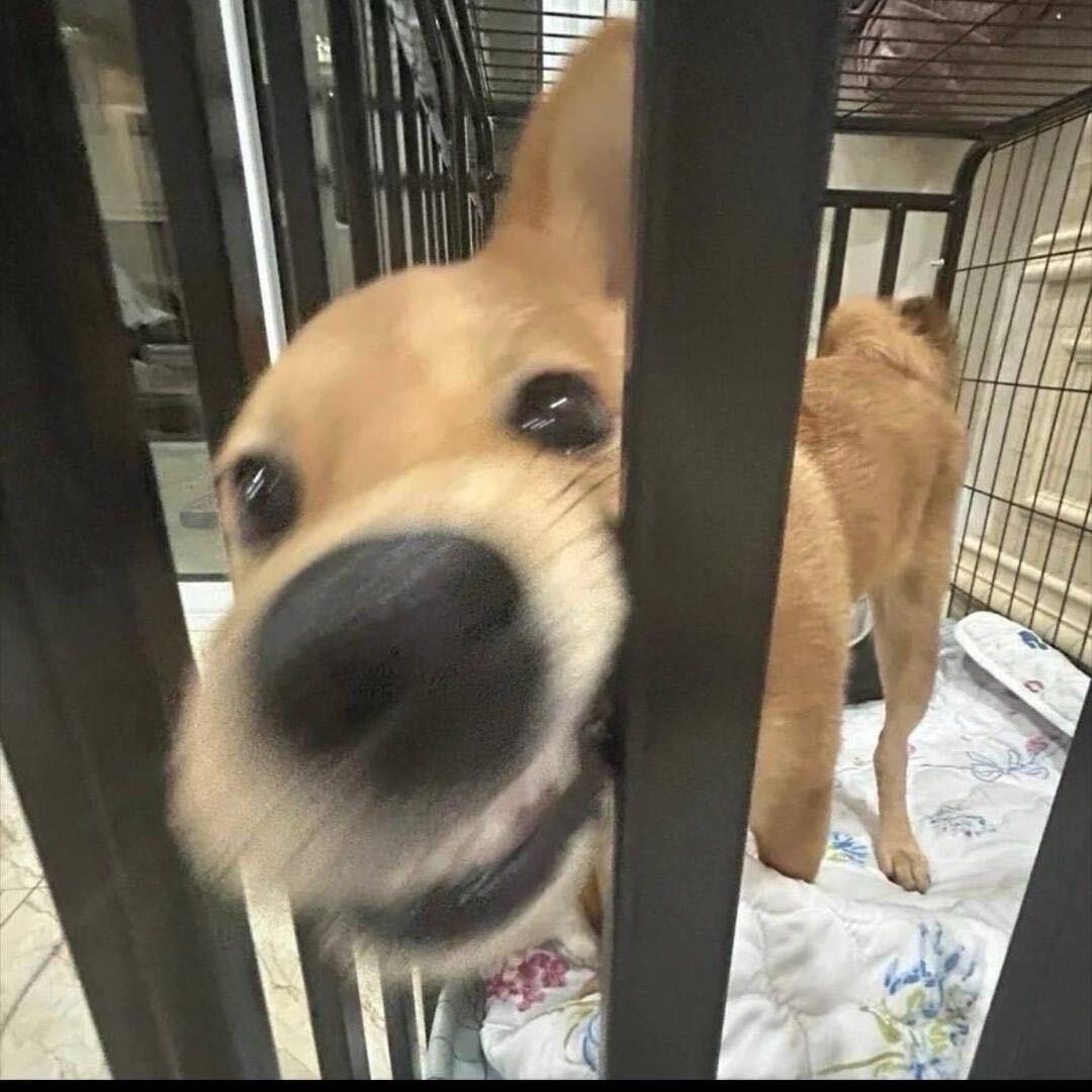 我們