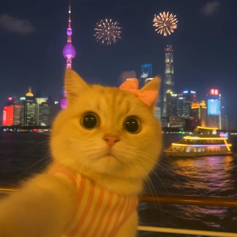 不打电话