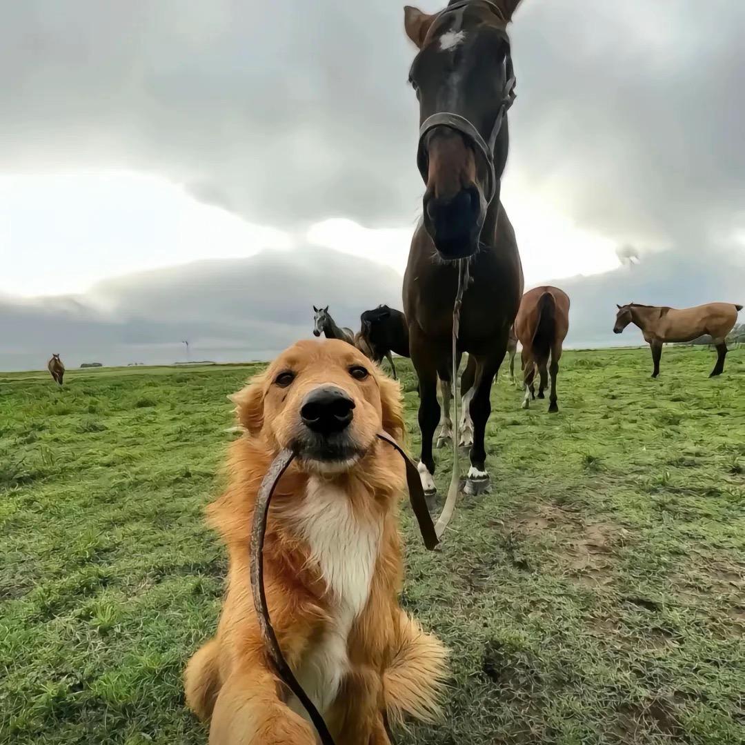 看着镜头比个ye✌️