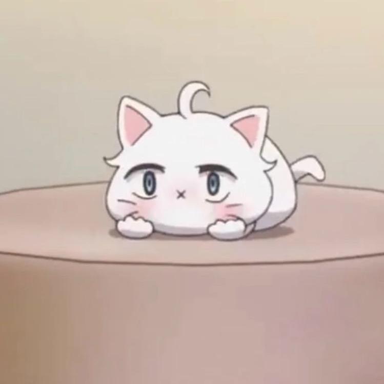 锦鲤✨