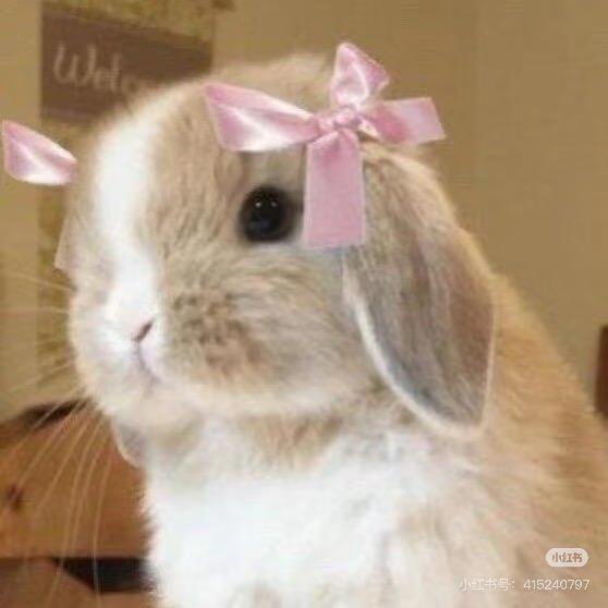 AAA建材批发王哥