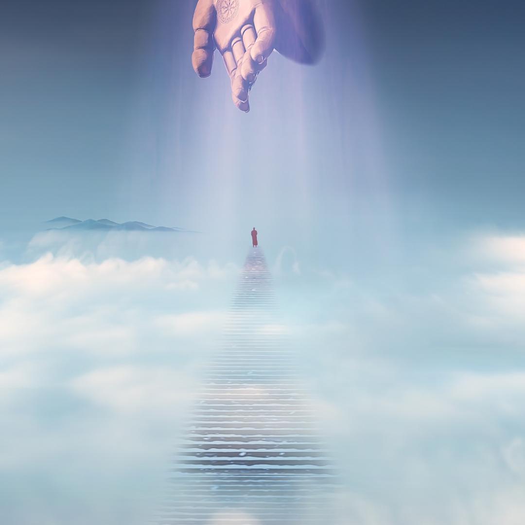 看向明天