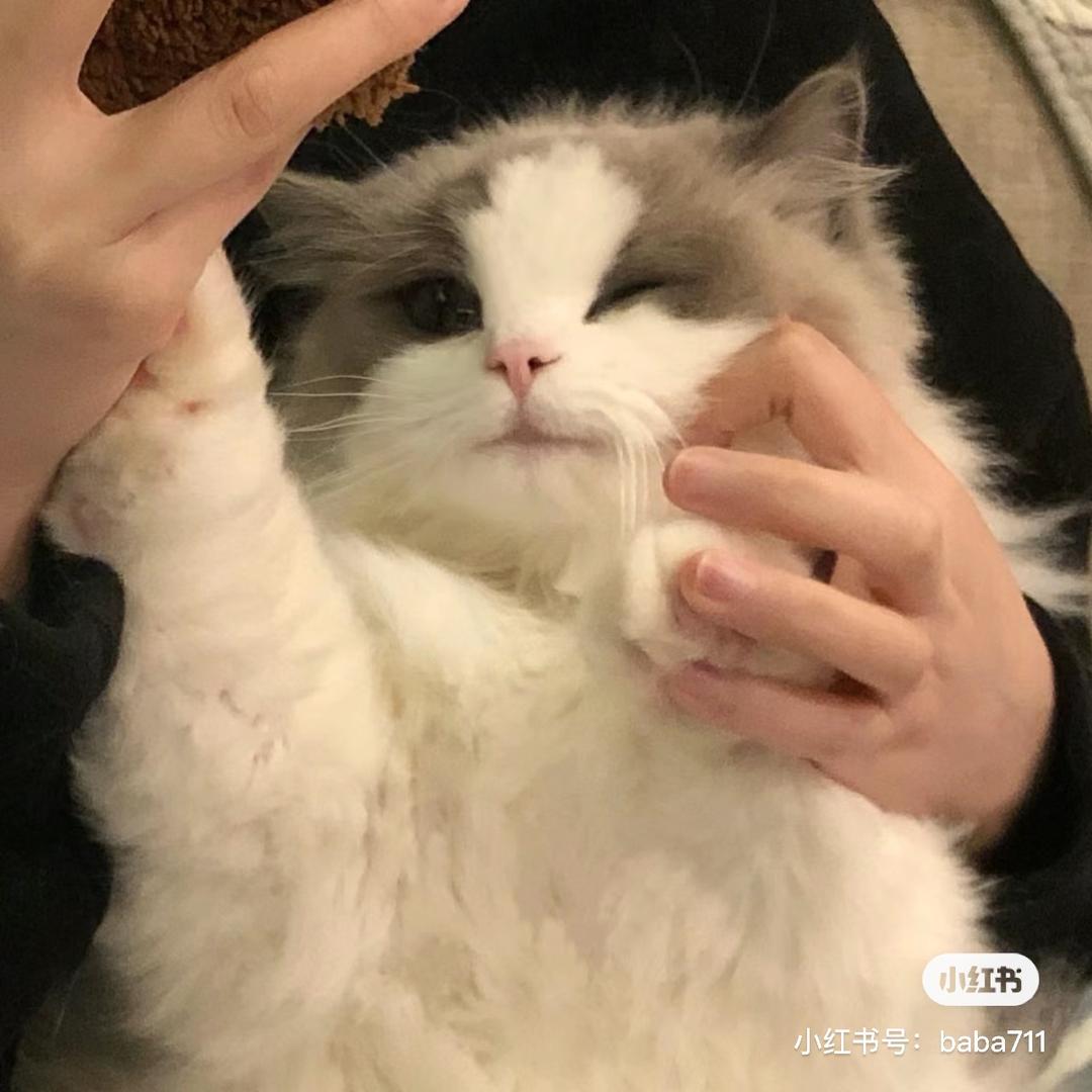 アホ
