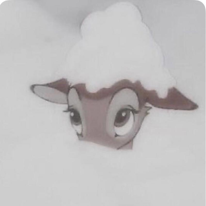 y1_n0rah