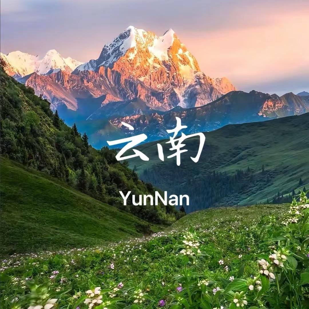 品质云南-薛队和他的定制师小伙伴们