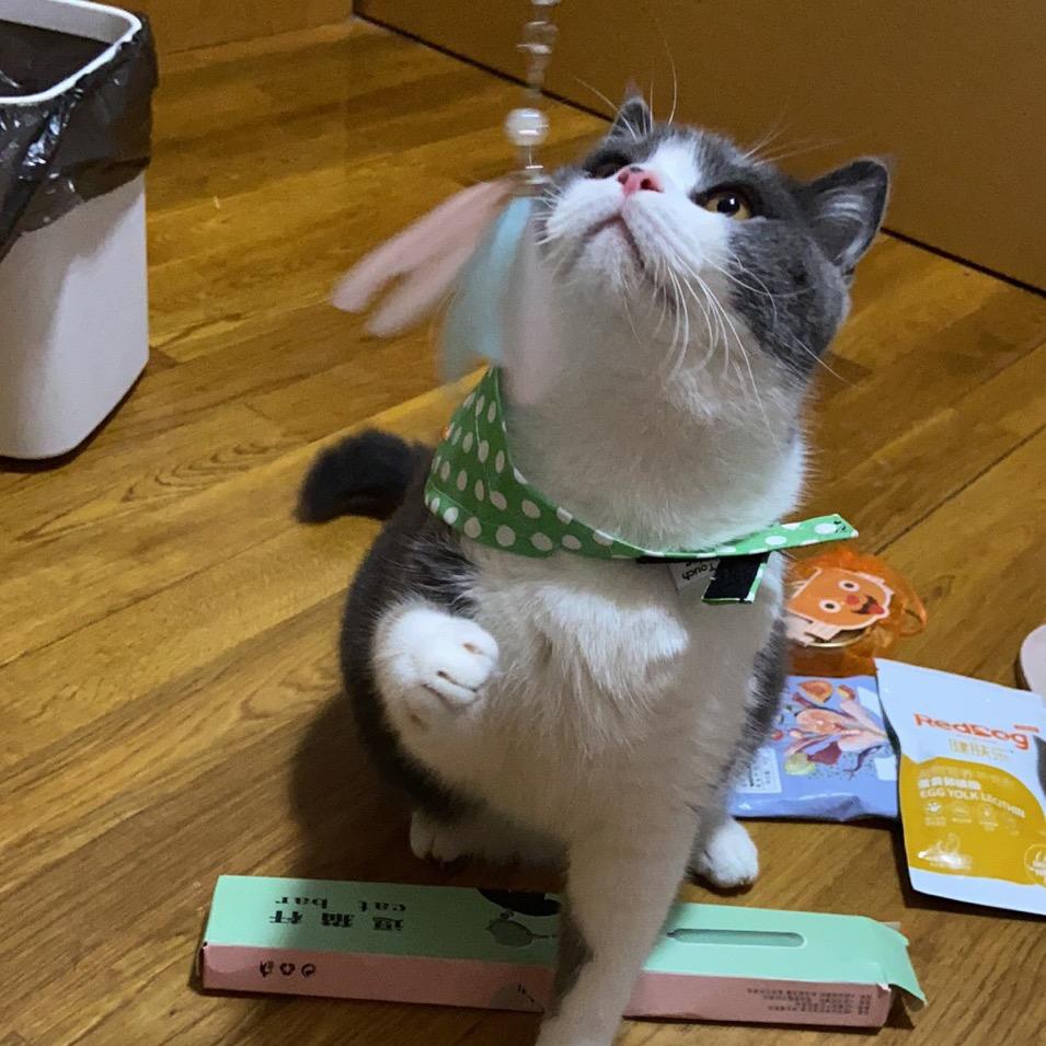 董李