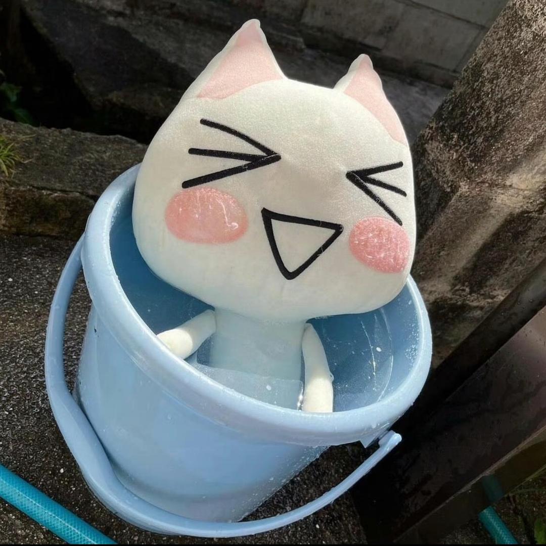 我哪知道头像