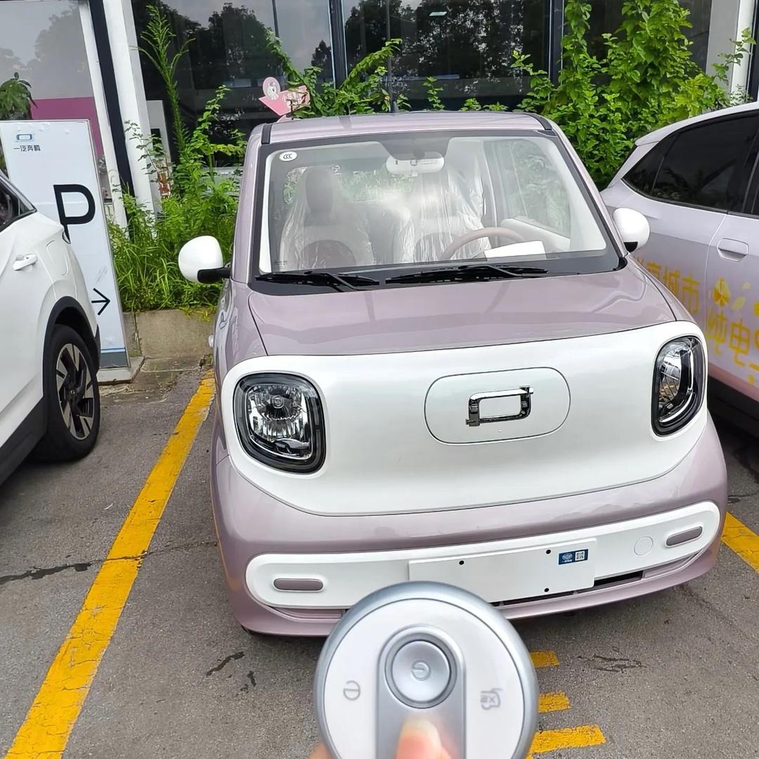 小马情报员