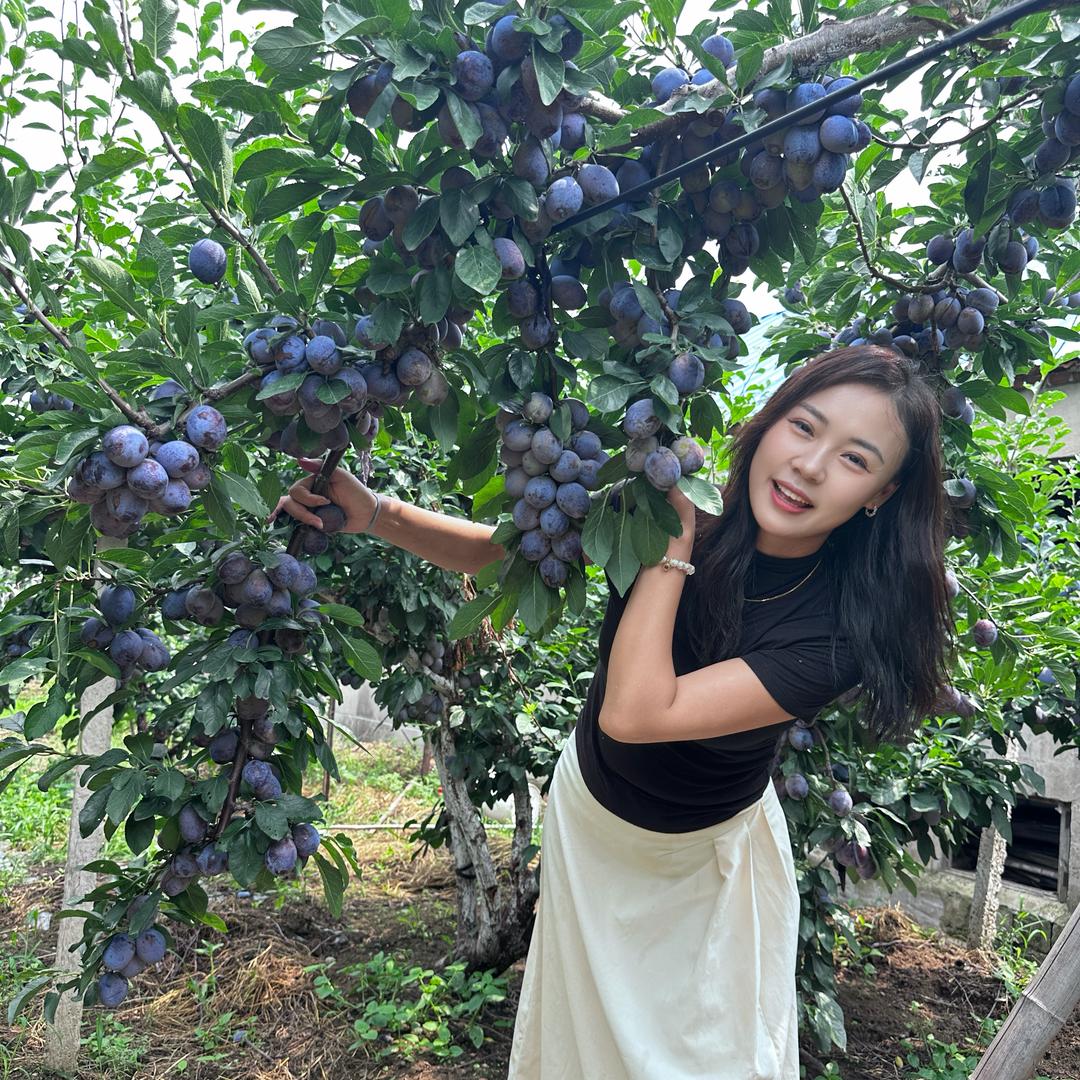 苗知春曦星果树苗木专卖店