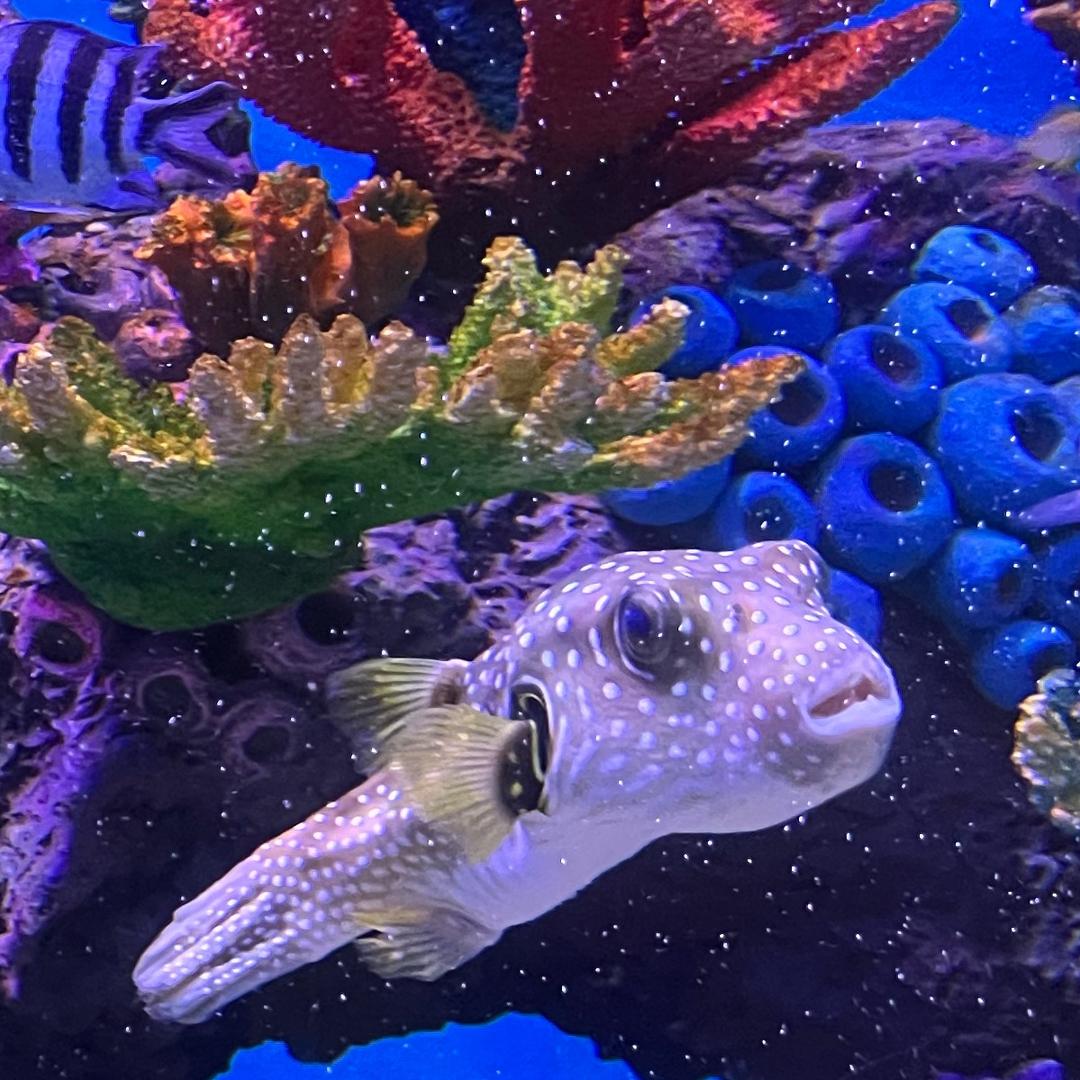 榆木脑袋꒦ິ ^꒦ີ