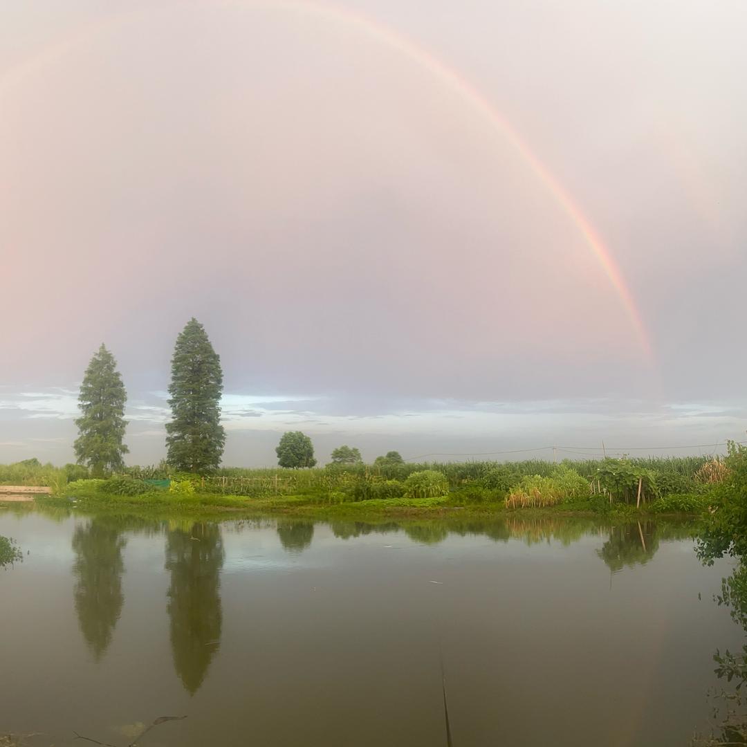 翻江倒海浪里白条一条小虾米