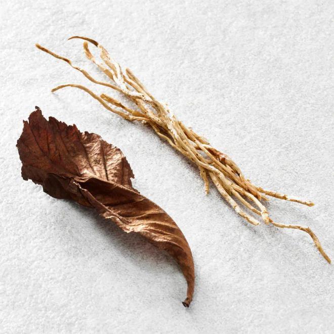 生活好物生产社