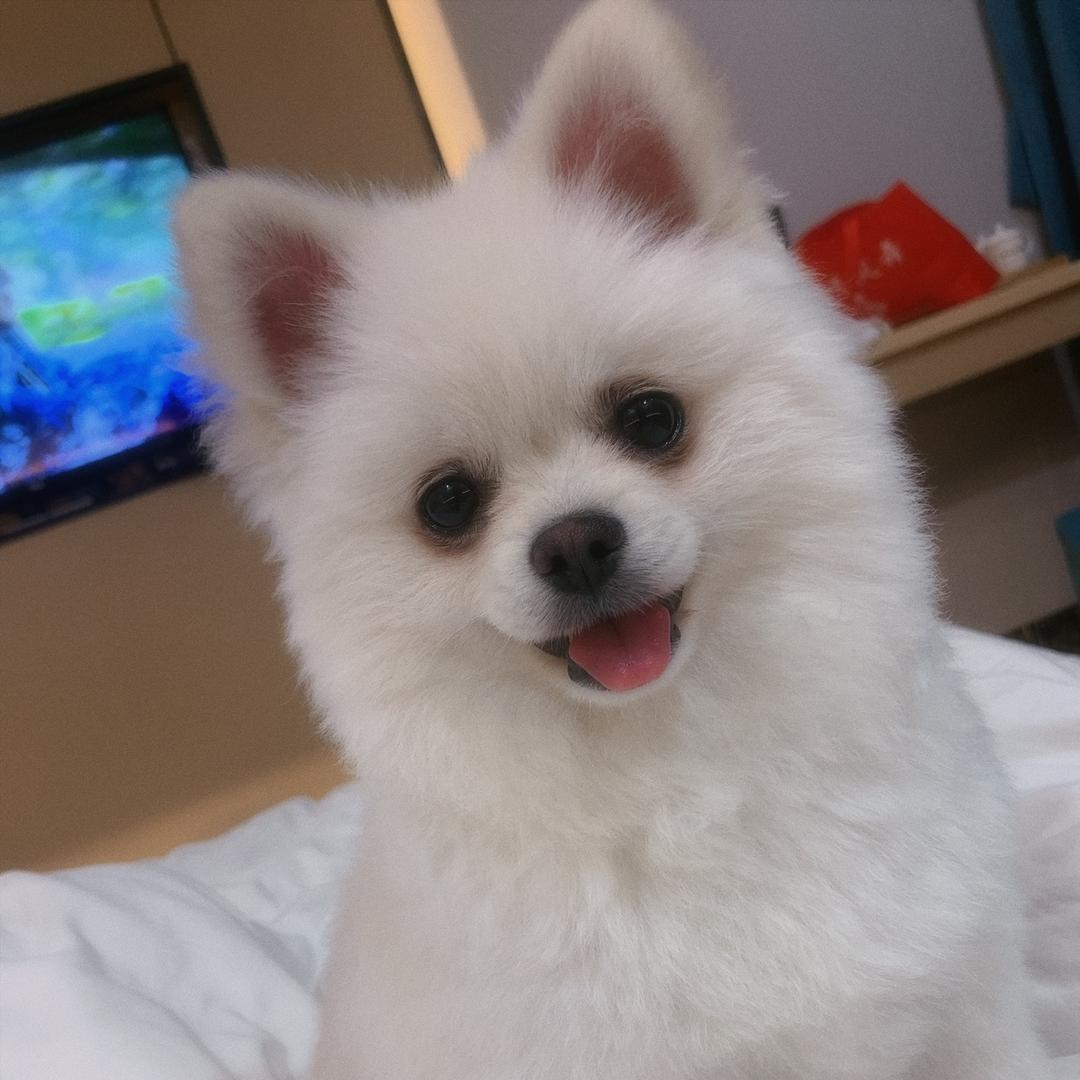 瑾萱