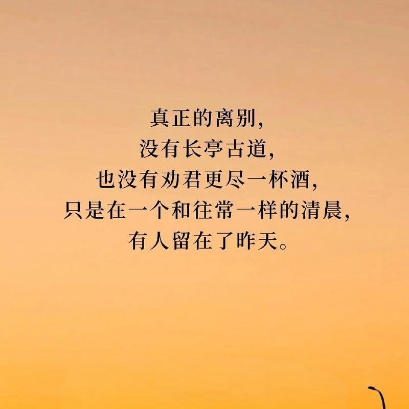 厦门小韭菜